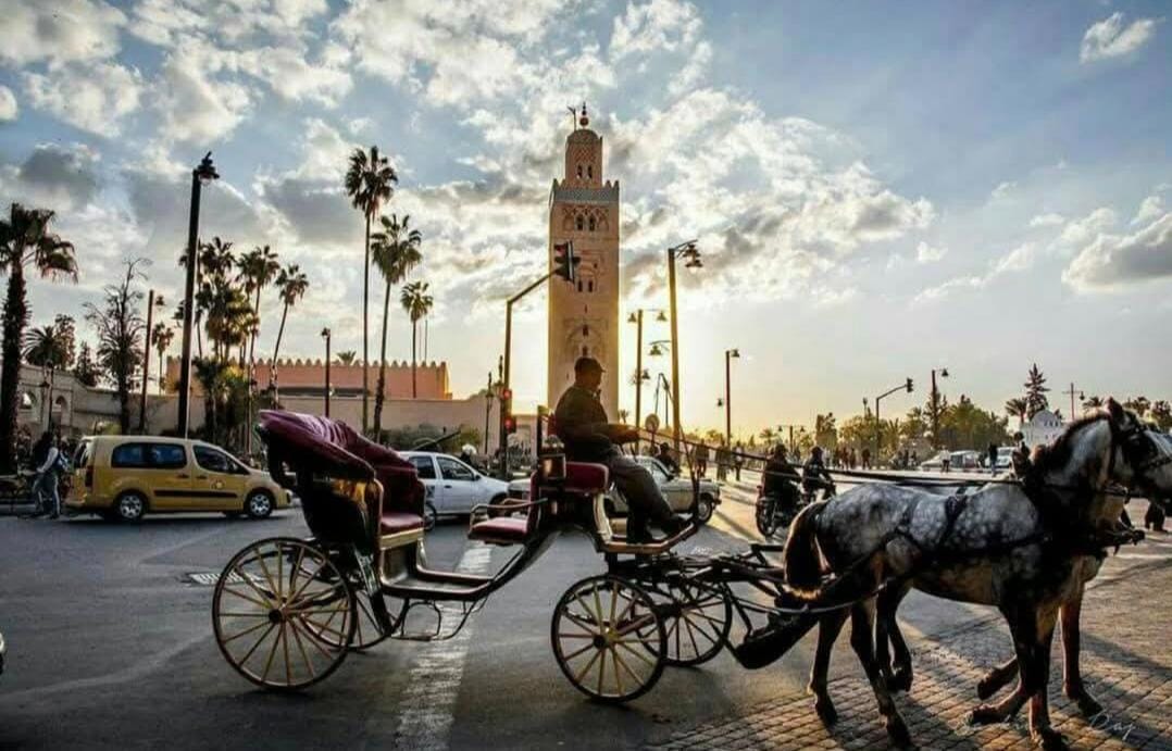 مراكش.. درة عالمية تتألم تحت ثقل الإهمال وسط نوم المنتخبين ويقظة الأمن