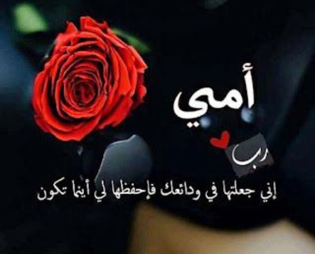 عيد الأم بين تكريم الإسلام وعرفان الأبناء