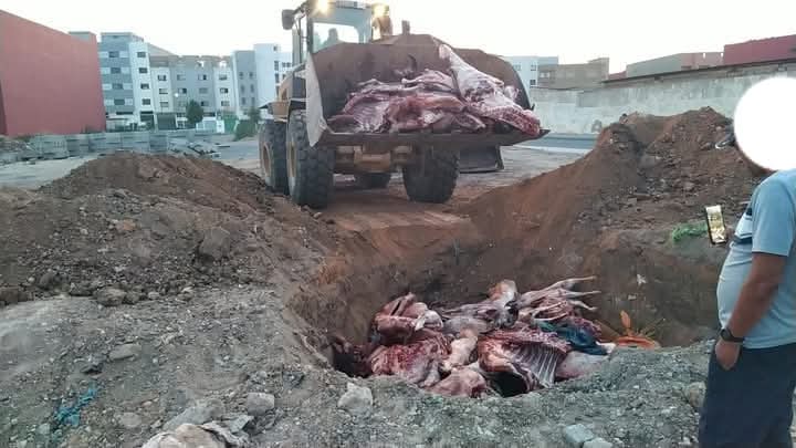 الدرك الملكي بمديونة يحبط عملية تهريب لحوم فاسدة قادمة من برشيد كانت موجهة للأسواق المحلية