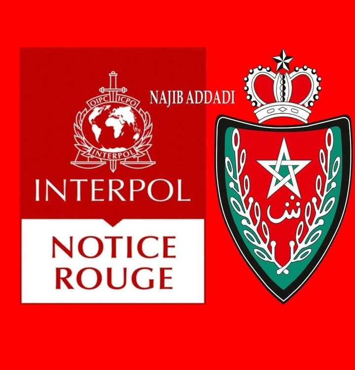 توقيف فرنسي من أصل تونسي بمطار مراكش بناءً على مذكرة حمراء