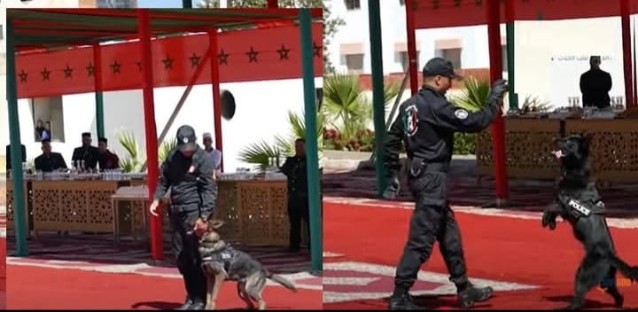 شرطة السينوتقنية باسفي ودورها الحيوي في الحفاظ على الامن