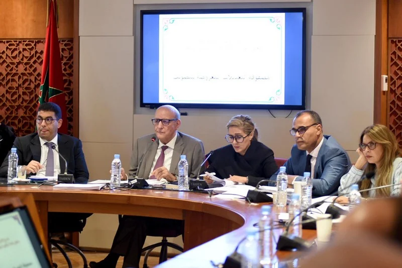 بنسعيد يدافع عن خيار  الانتداب داخل المجلس الوطني للصحافة